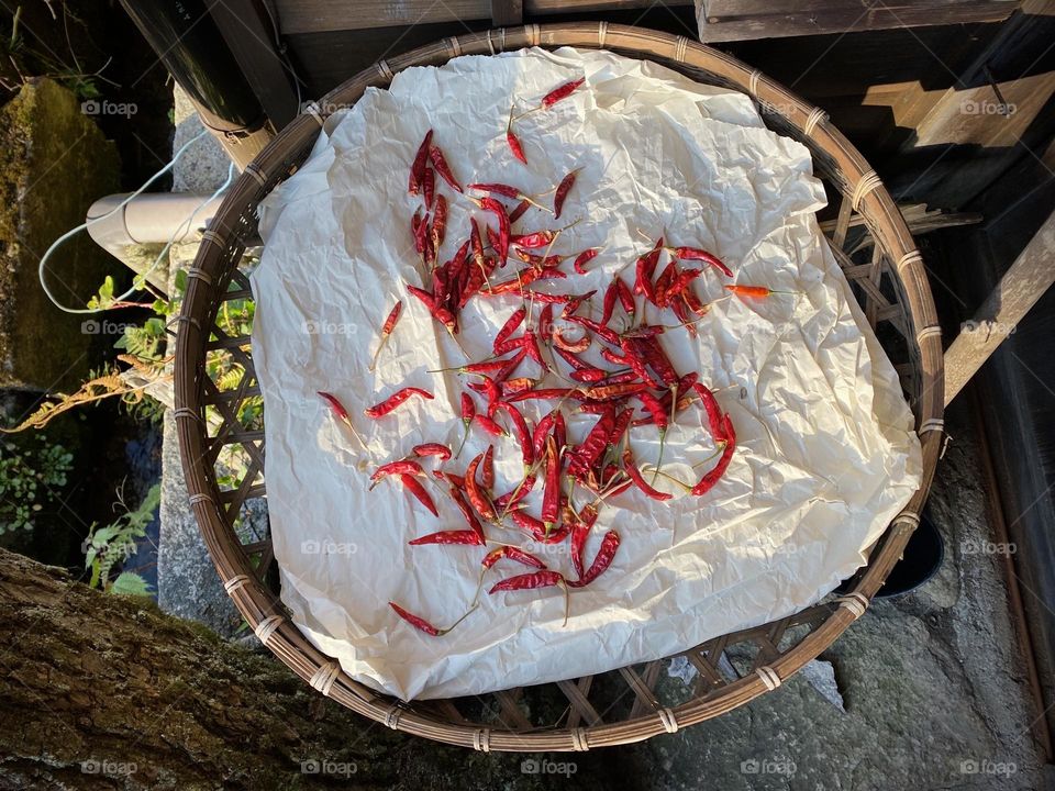 chili peppers drying on the paper