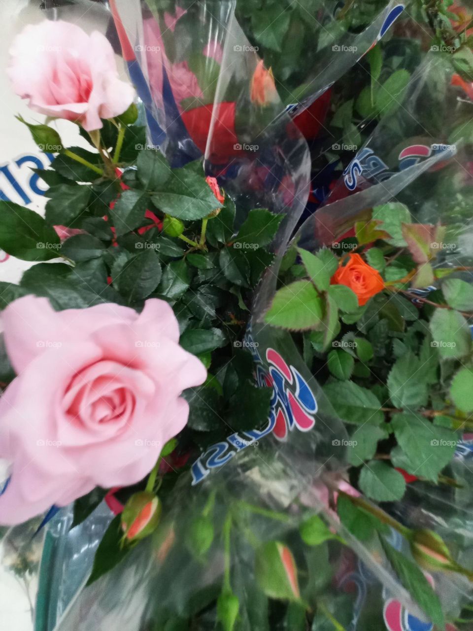 Rosas cor-de-rosa.  As rosas são  por Excelência  a mais feminina  das flores. O cor rosa significa romantismo, ternura, ingenuidade, beleza, suavidade, pureza e delicadeza. É uma cor muito usada no universo feminino