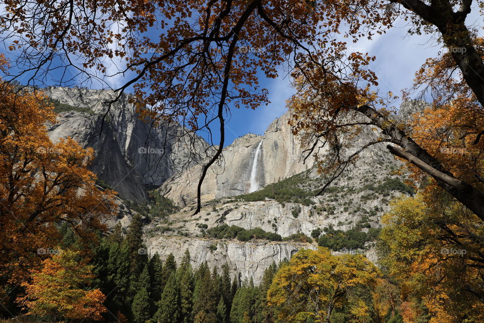 Autumn around the high falls