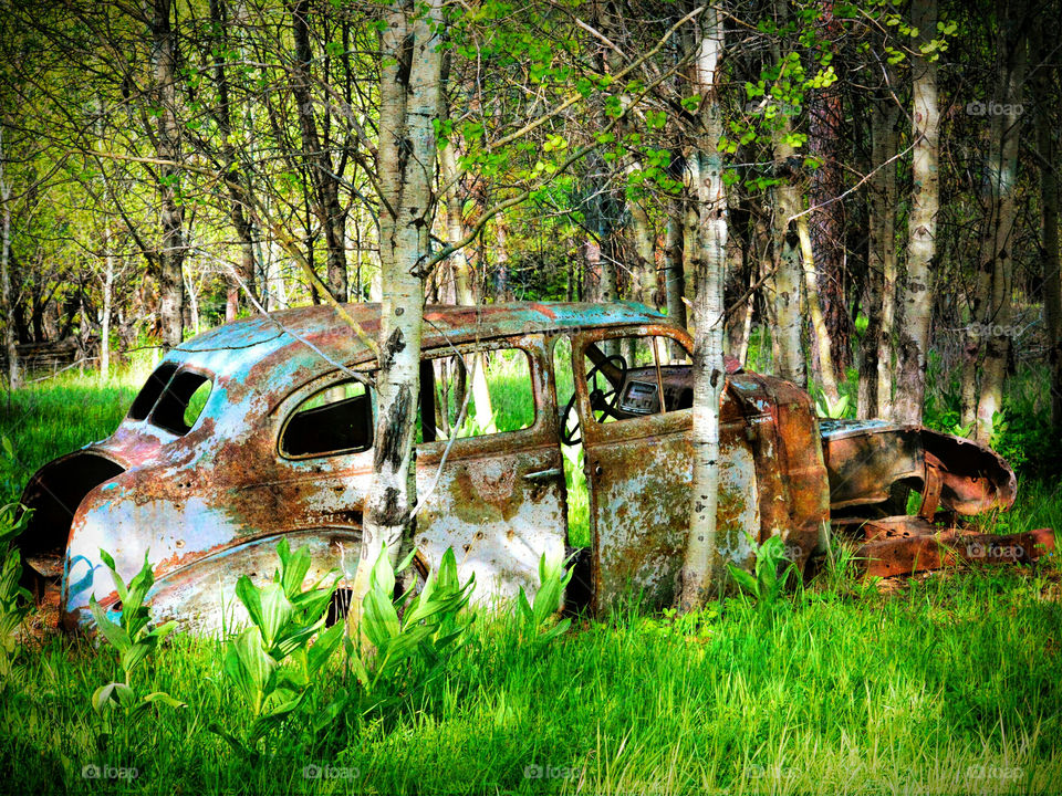 Abandoned Vintage Automobile in the Central Oregon Mountains