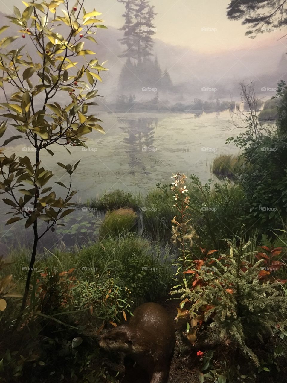 American Museum of Natural History - AMNH