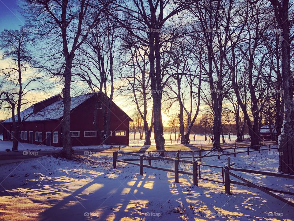 Scenic winter landscape from the farm