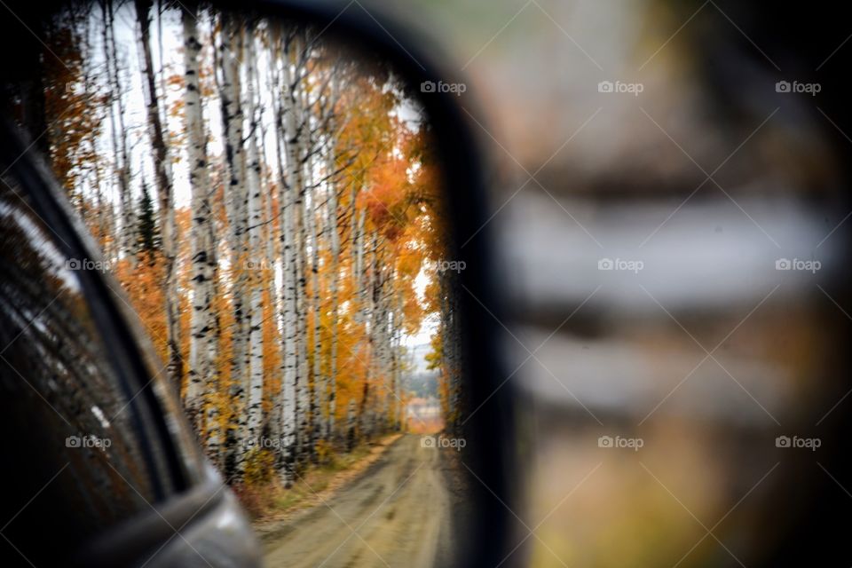 Rear View Reflection