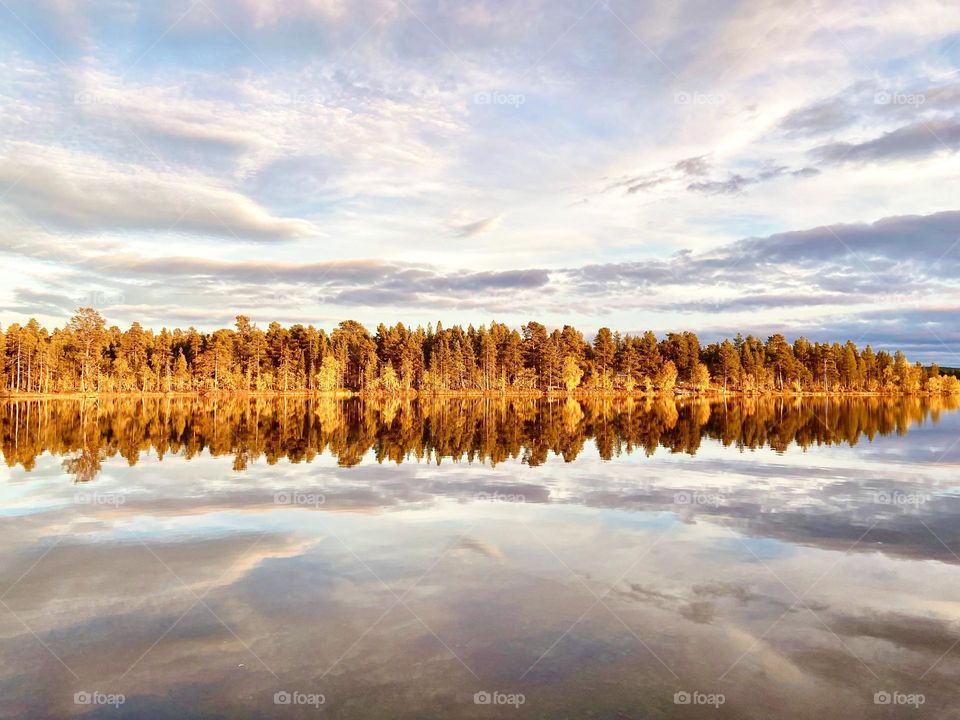 Gold reflection