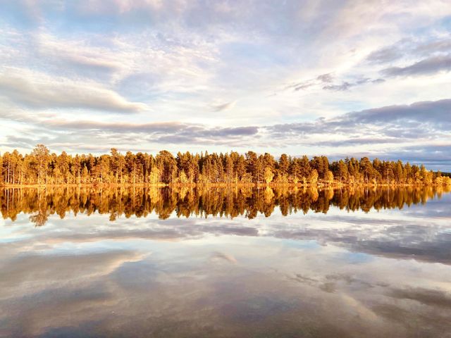 Gold reflection