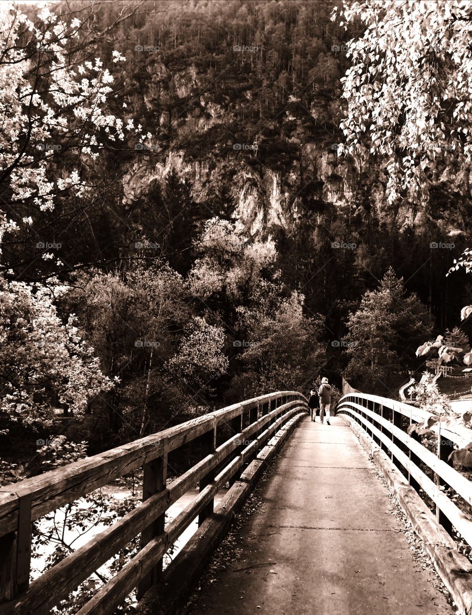Father and the son are walking along the wooden bridge. Black and white.