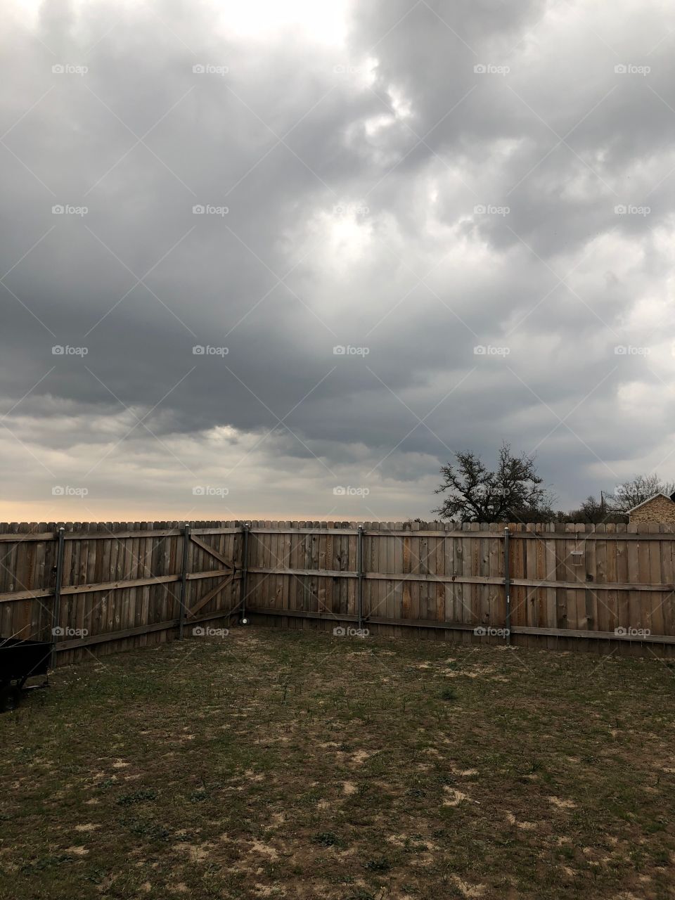 Back yard before a storm 