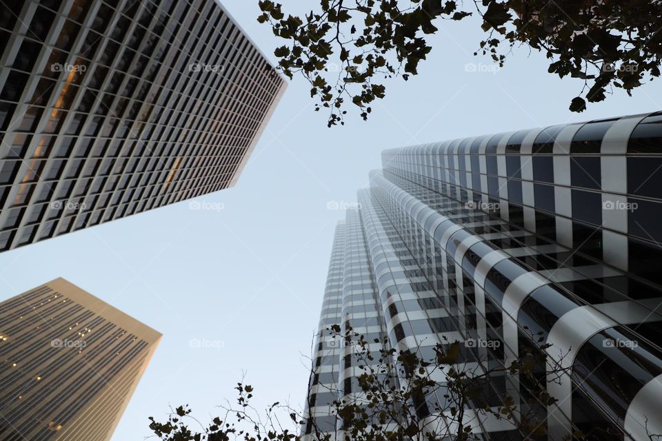 Contemporary skyscrapers up in the air 