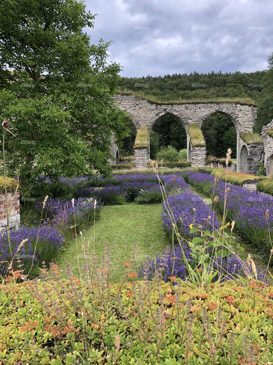 Alvastra monastery ruin