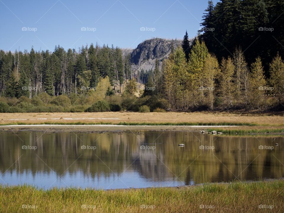 Lost Lake off of the Santiam Pass in Oregon’s mountains with multicolored trees reflecting in its waters on a beautiful sunny fall day.