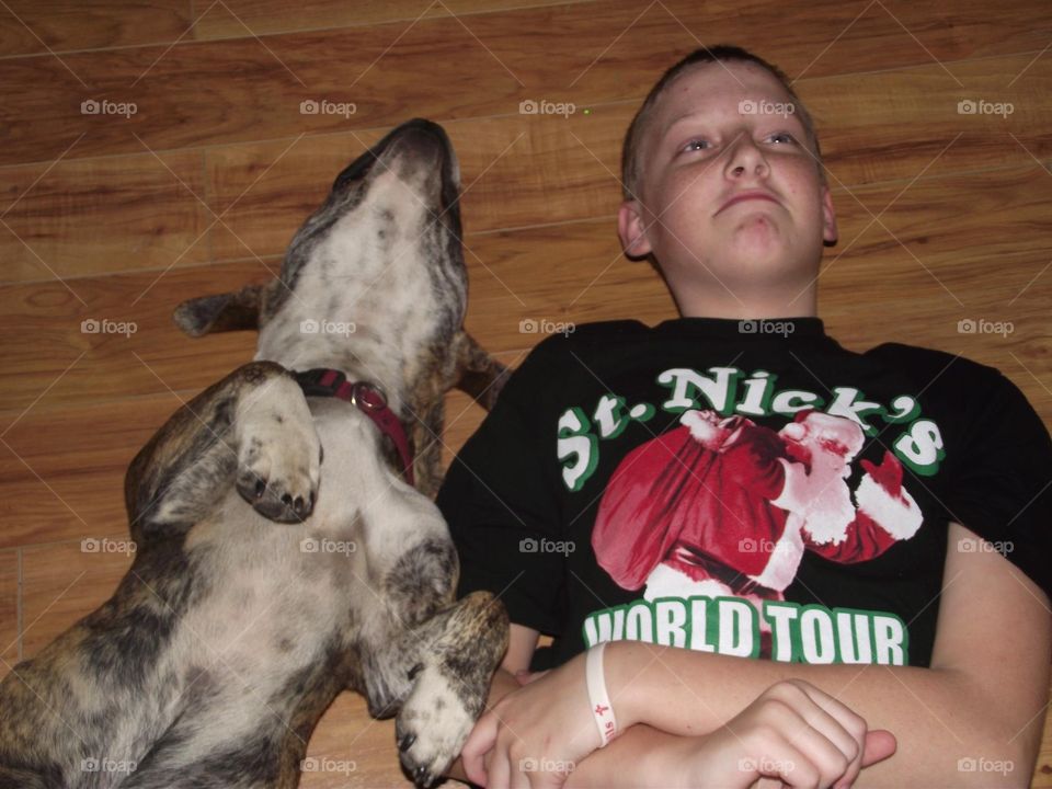 Copycat dog aka Tucker