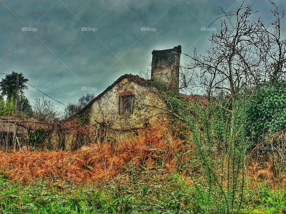 Abandoned Farmhouse. Abandoned farmhouse, Teo, Galicia