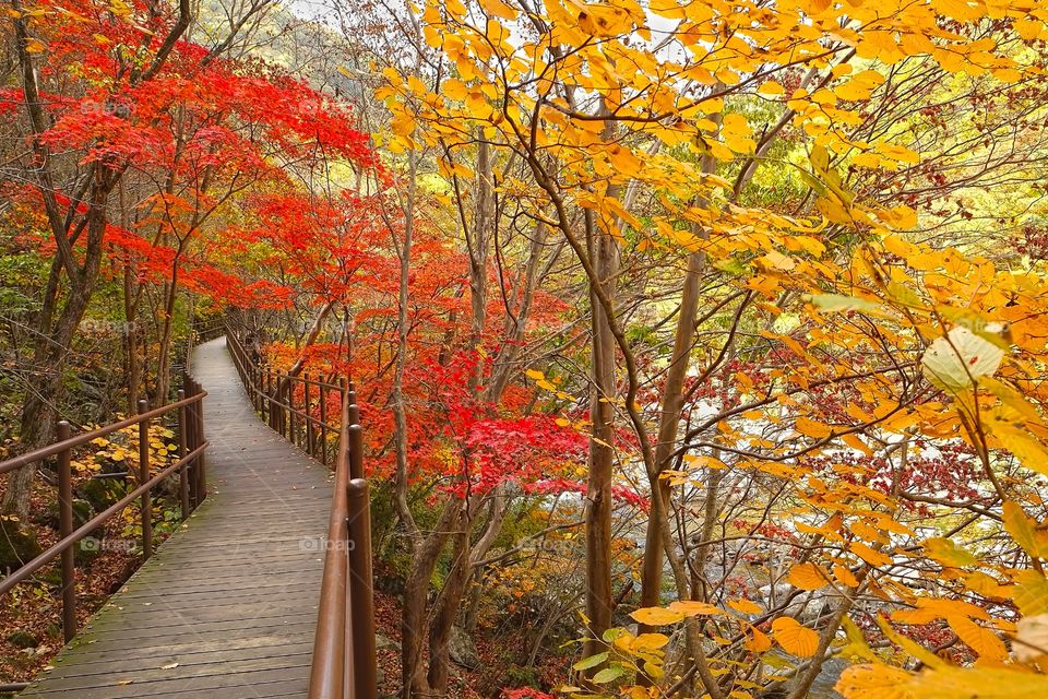 Jirisan National Park, South Korea