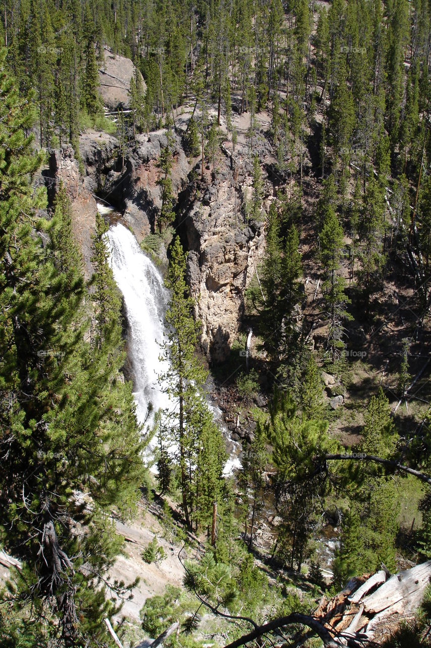 Waterfall on a secret trail at Yellowstone national park