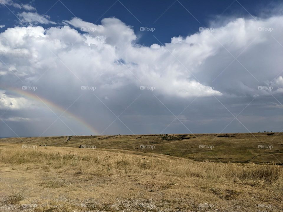 Rainbow over grassland