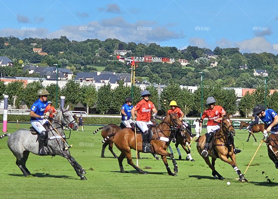 Polo match in Deauville