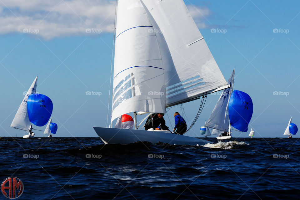 Sailing race, dragons