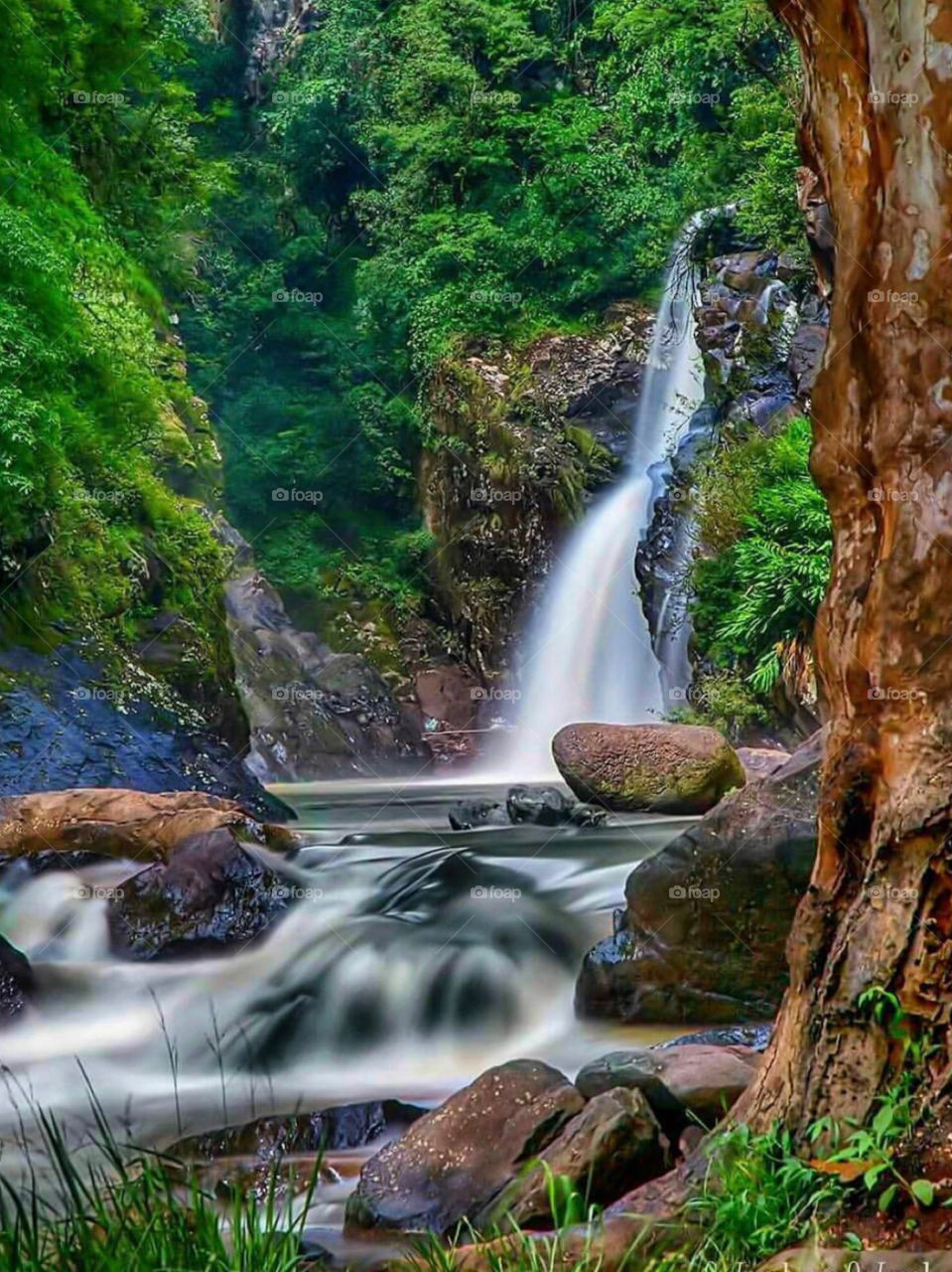 Brazilian paradise world