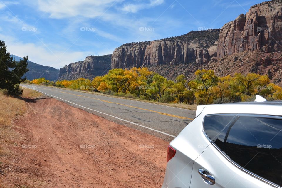 Desert Road Trip