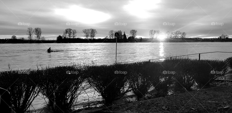 Rhine while flood