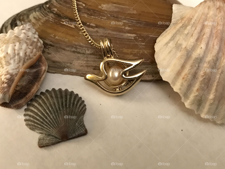 Bird pearl necklace and shells