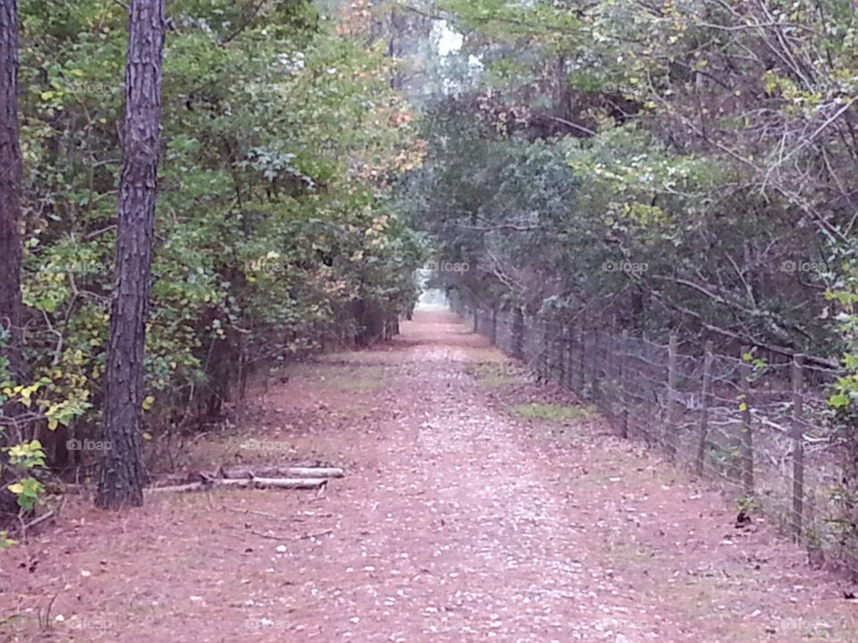 Nature Trail