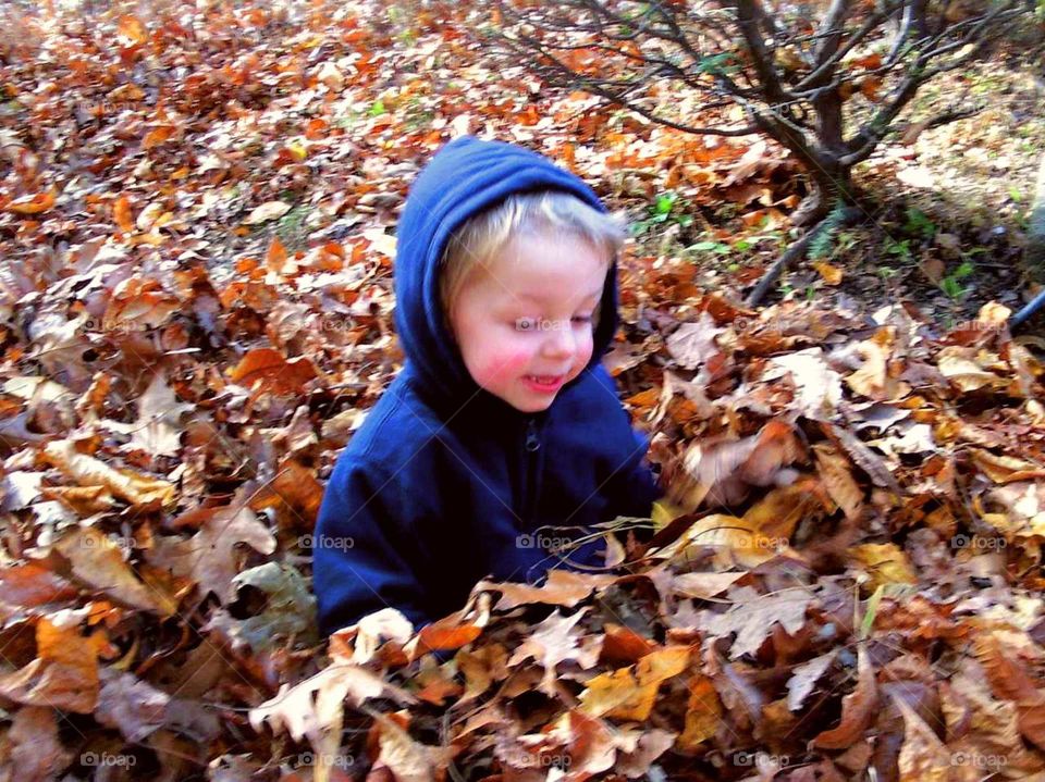 Fall, Child, Leaf, Maple, Nature