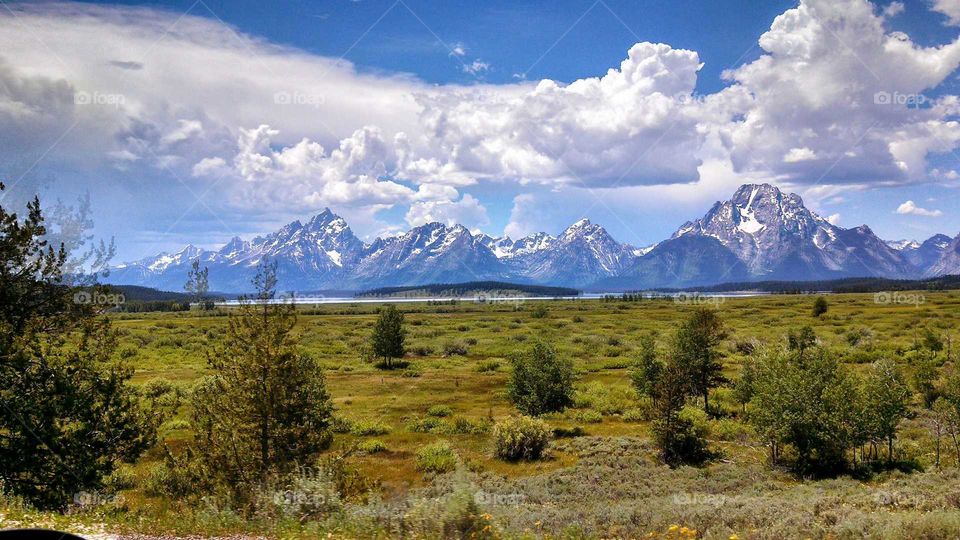 tetons in the distance