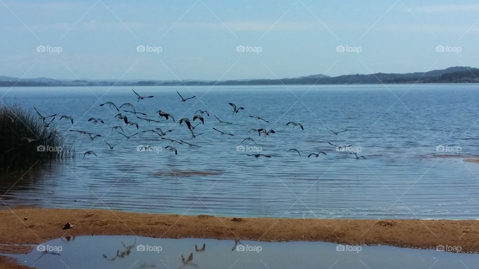 Sunset in the lagoon