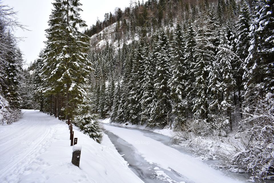 Winter in mountains