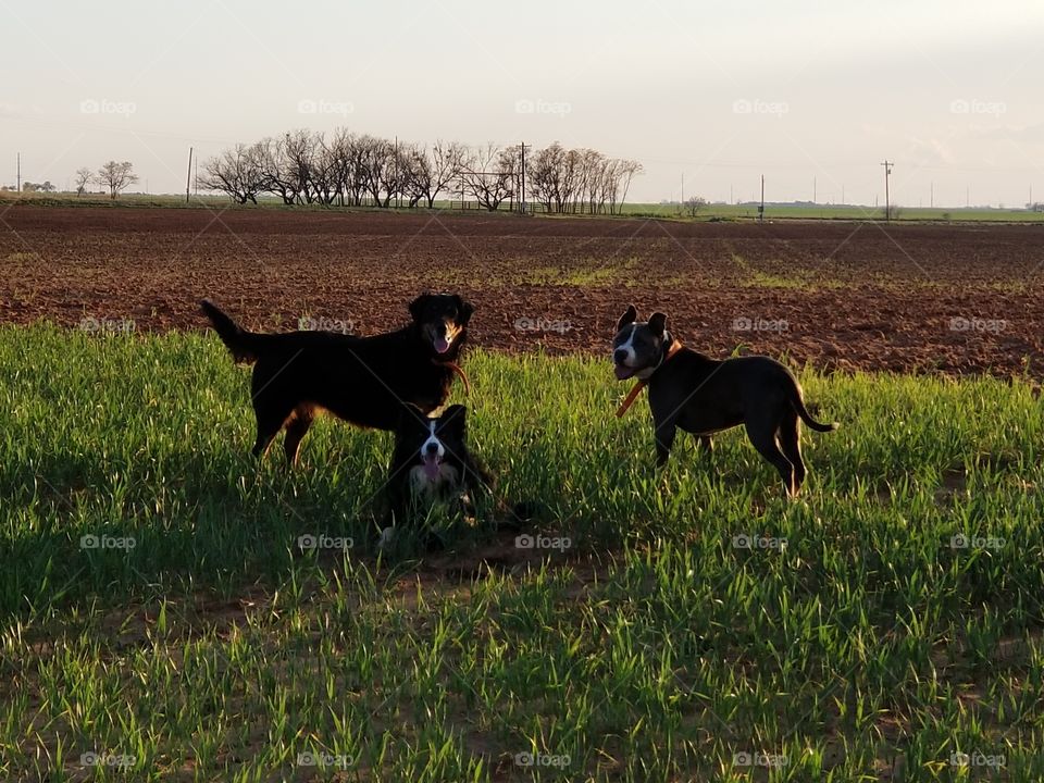 waiting for the ball