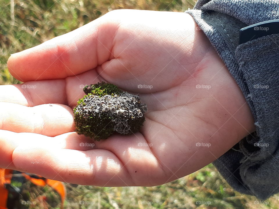 Thought this rock was interesting 