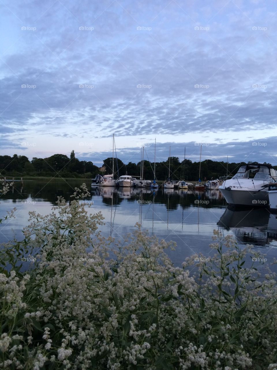 Marina Vordingborg Denmark