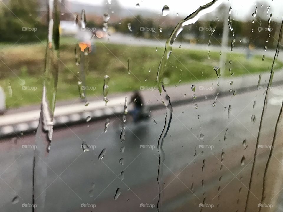 Rain, drops on the window 