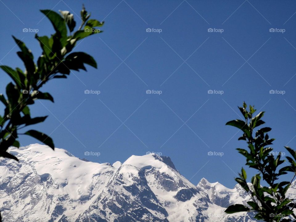 Summer's in himalaya