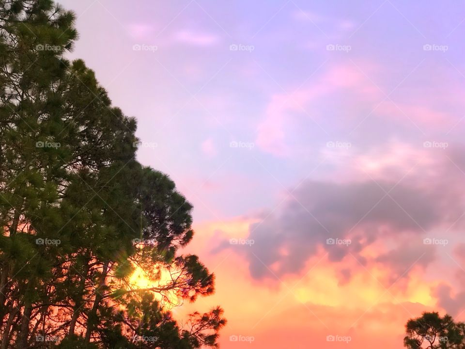 Multicolored sunset