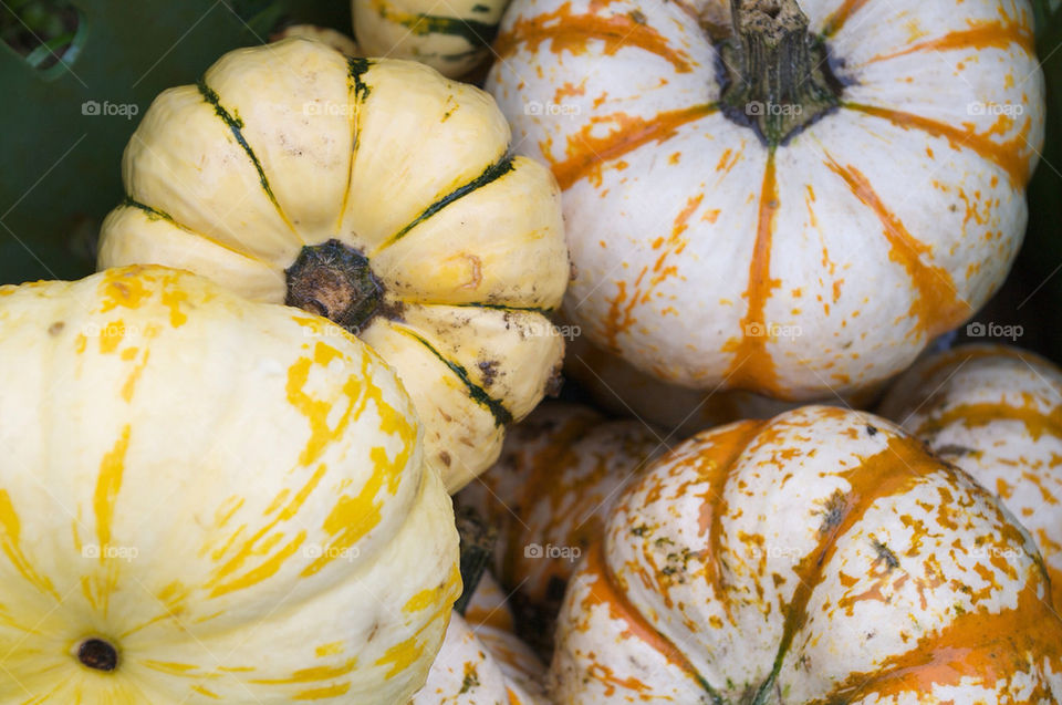 fall autumn halloween harvest by campbellrobertson