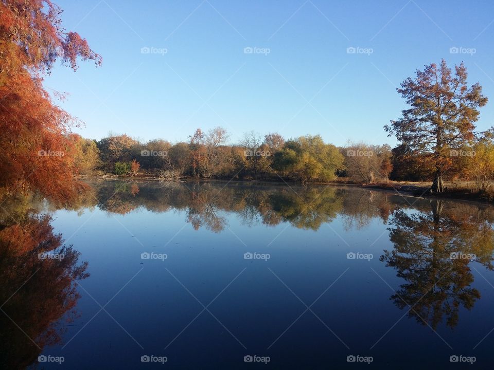 Fall on the Pond