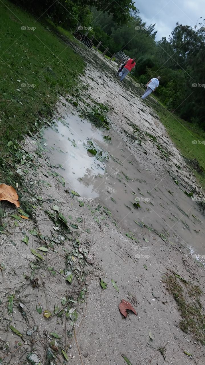 Flooded path...