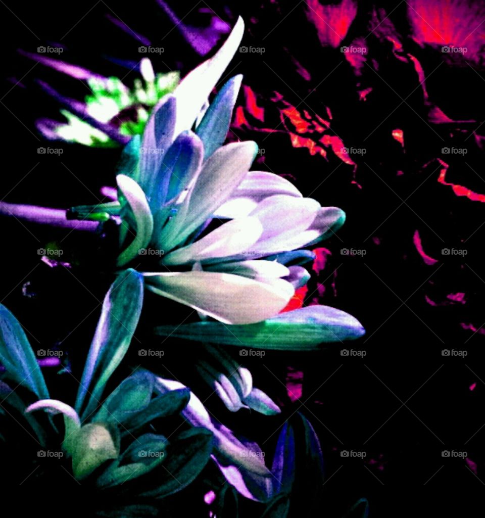 on the edge. lighting effects