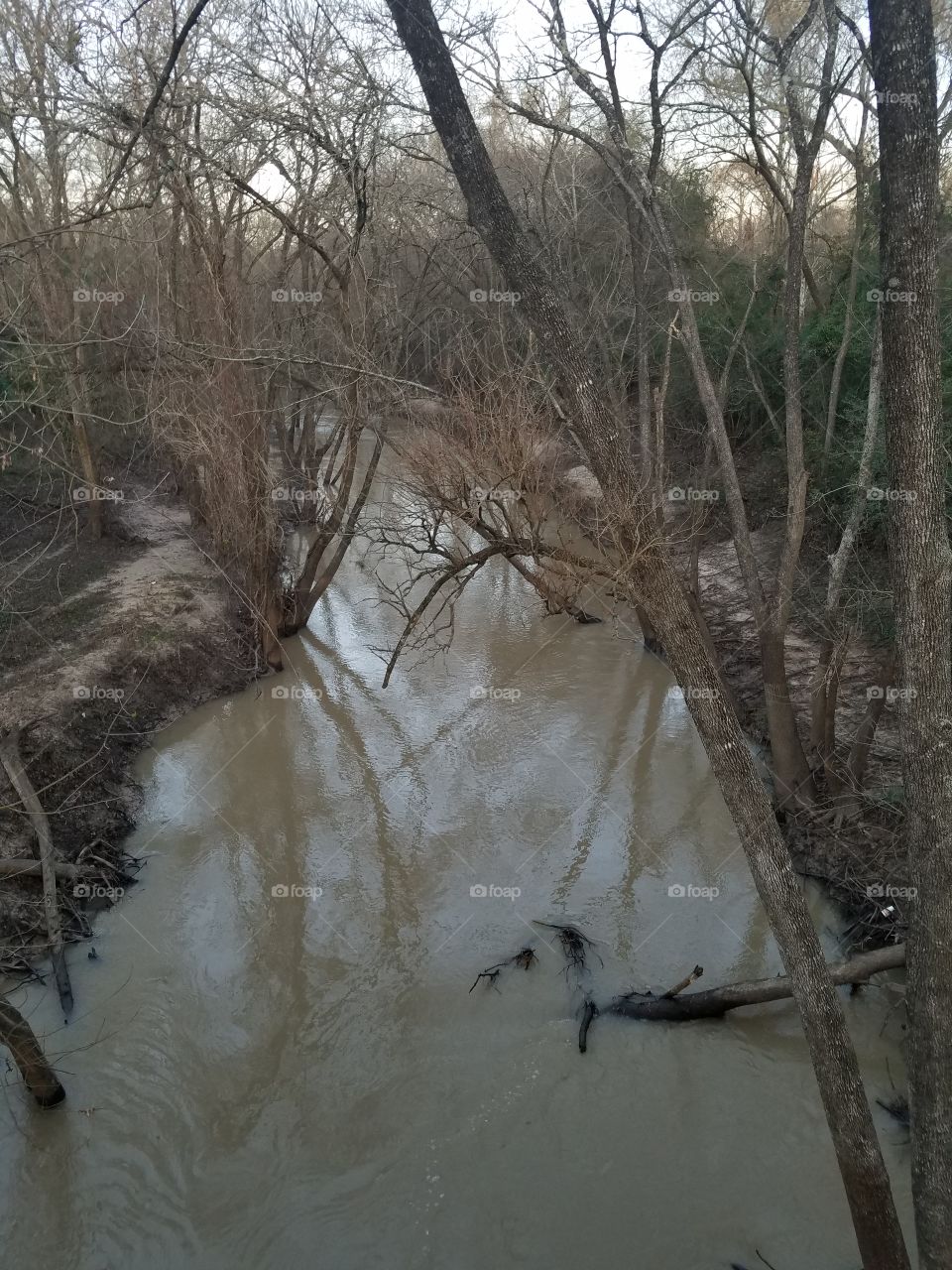 Walking over the creek...