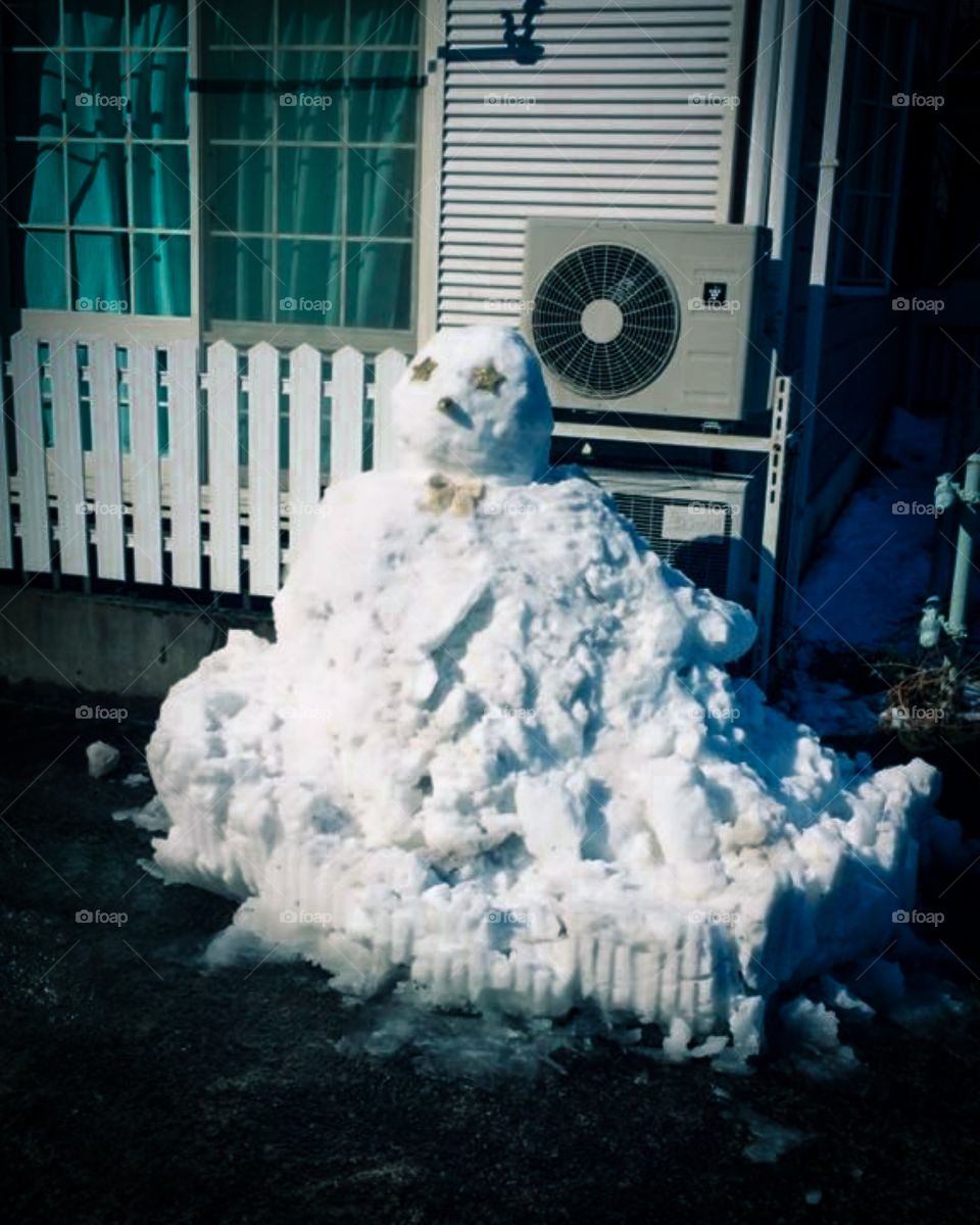 beautiful snowman in winter season