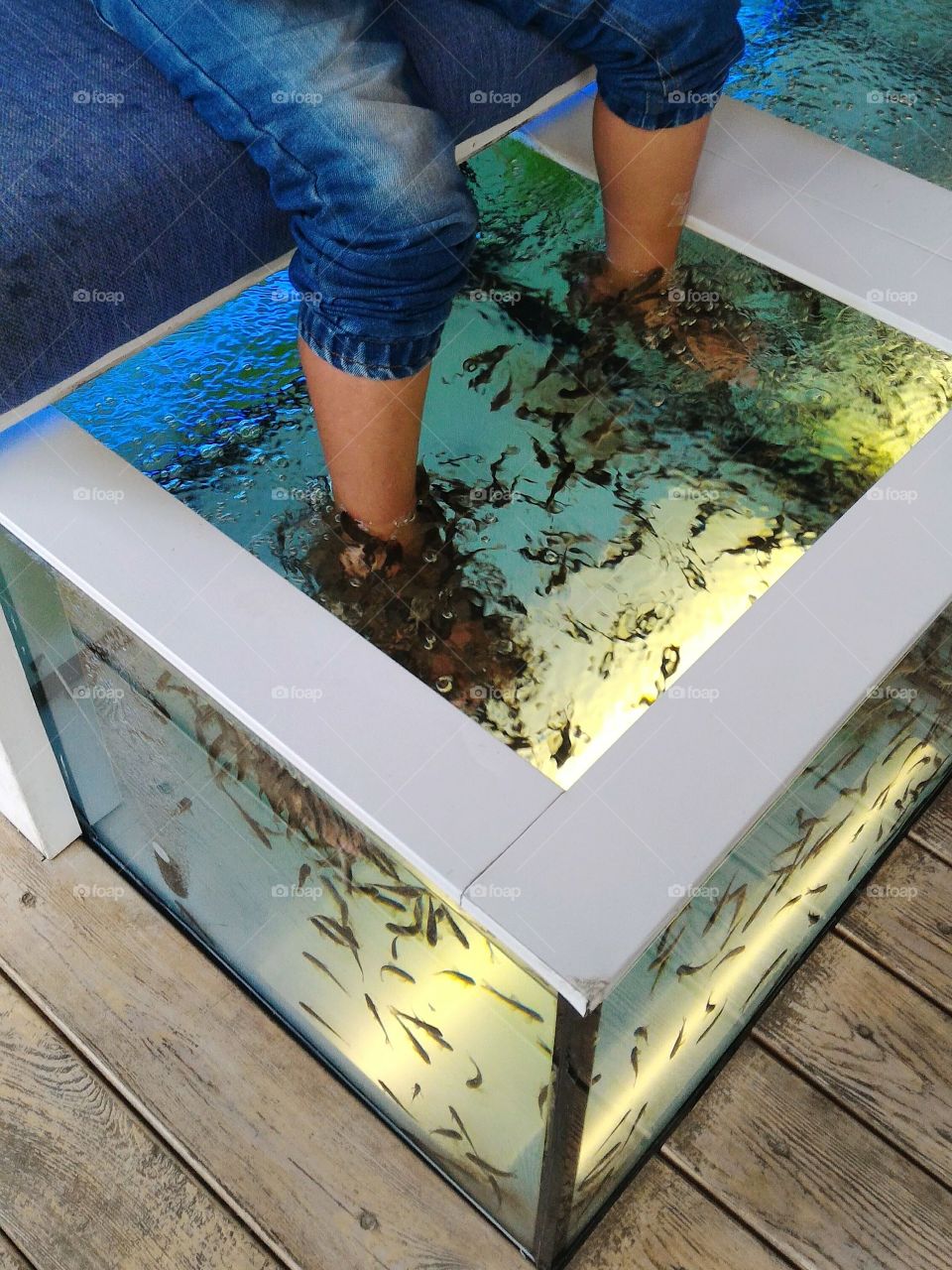 fish, garra rufa, peeling