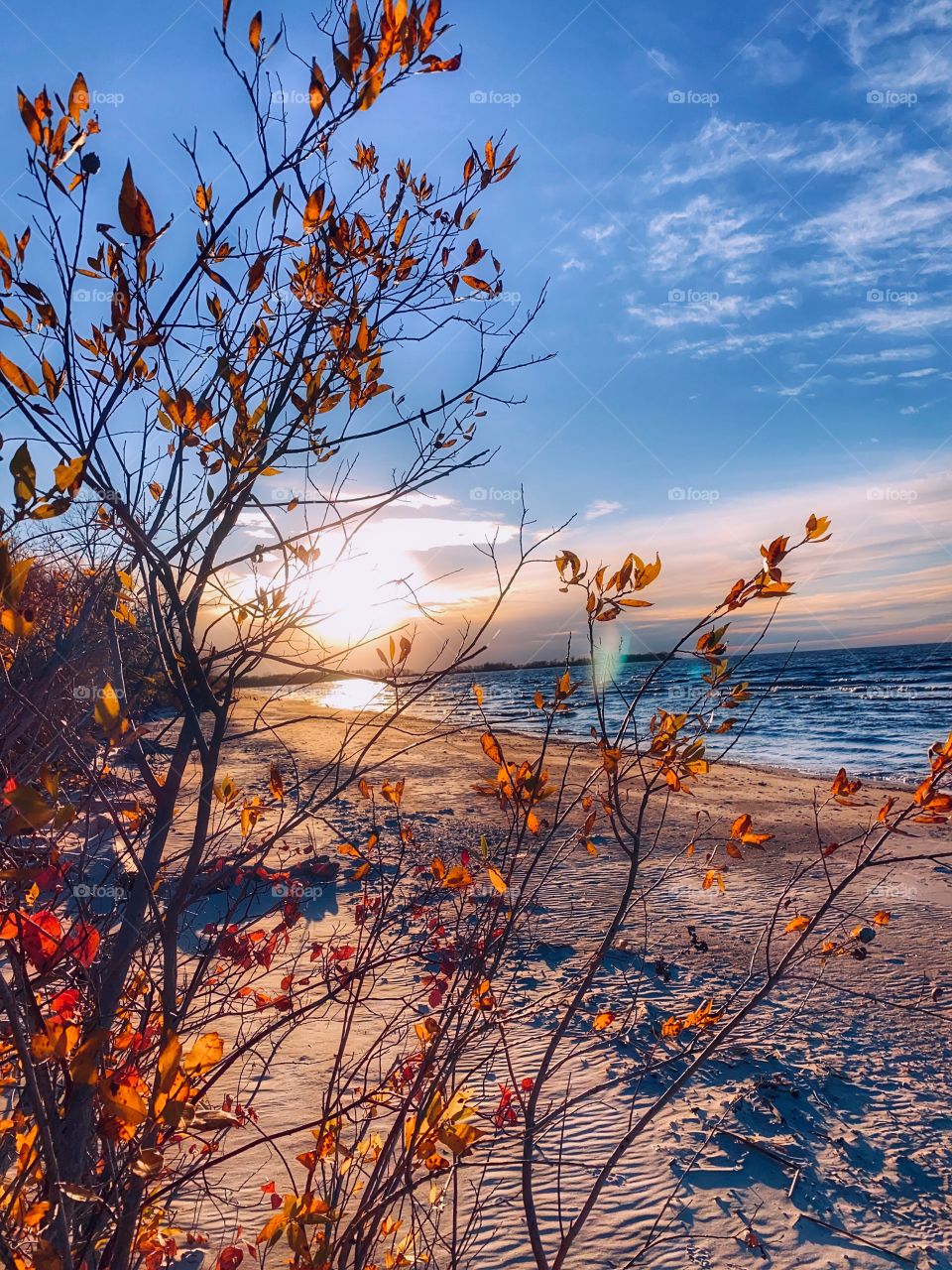 Autumn at the beach 