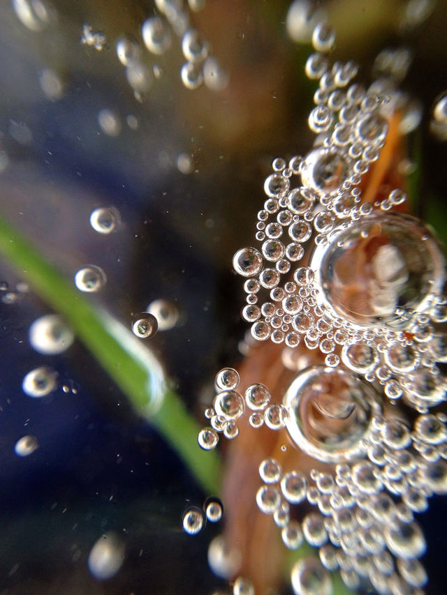 Icebubbles