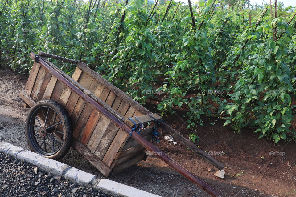 abandoned cart