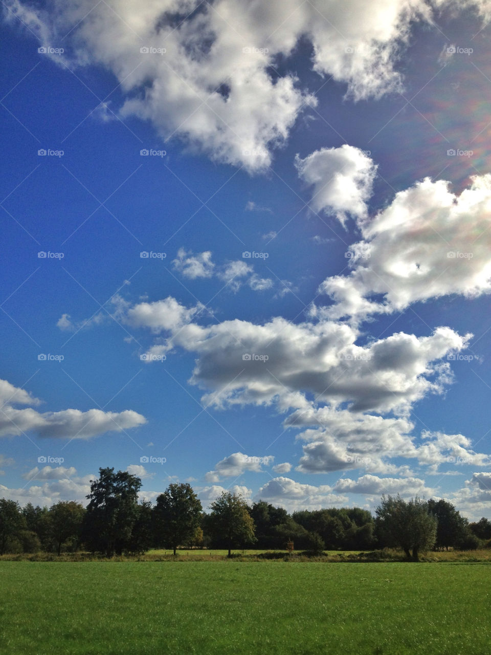 sky nature clouds trees by twilite