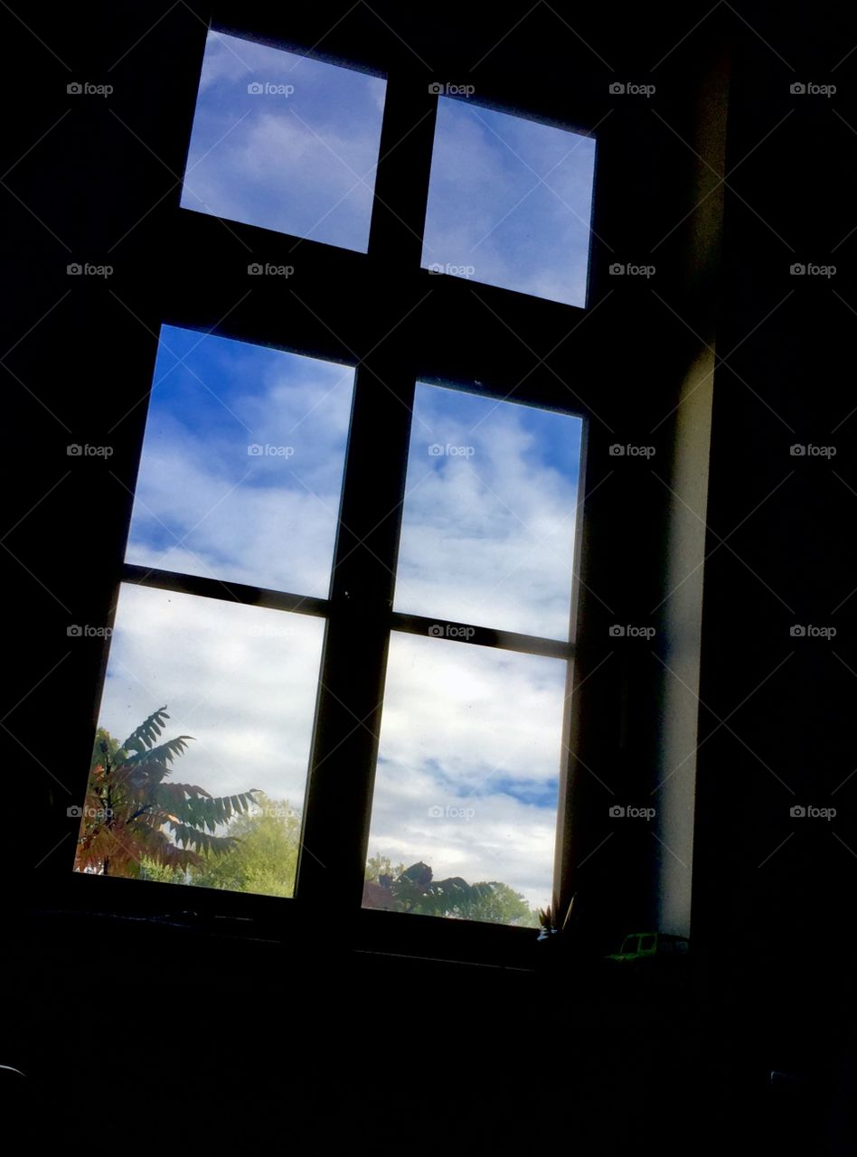 Window view