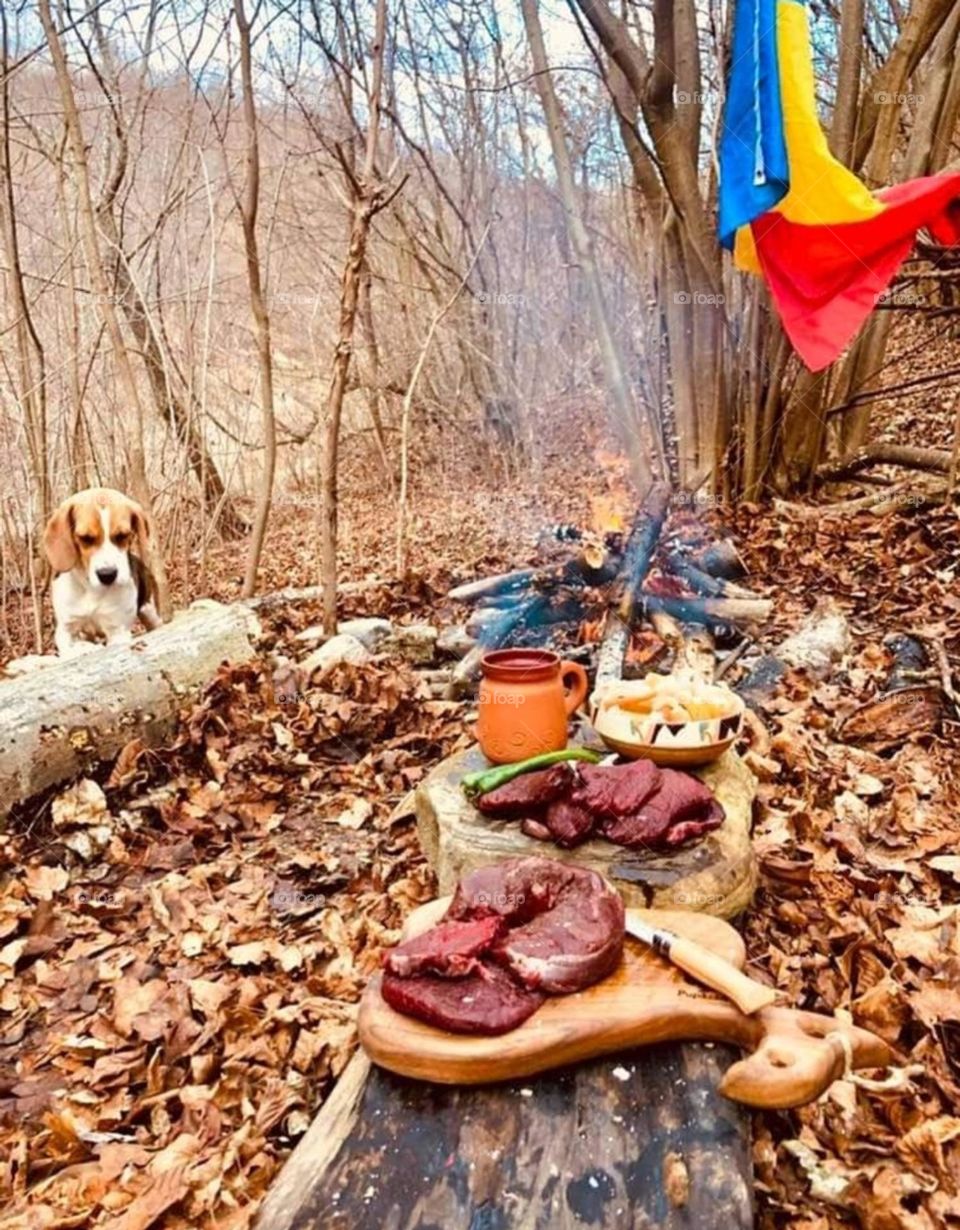 Independence day mission