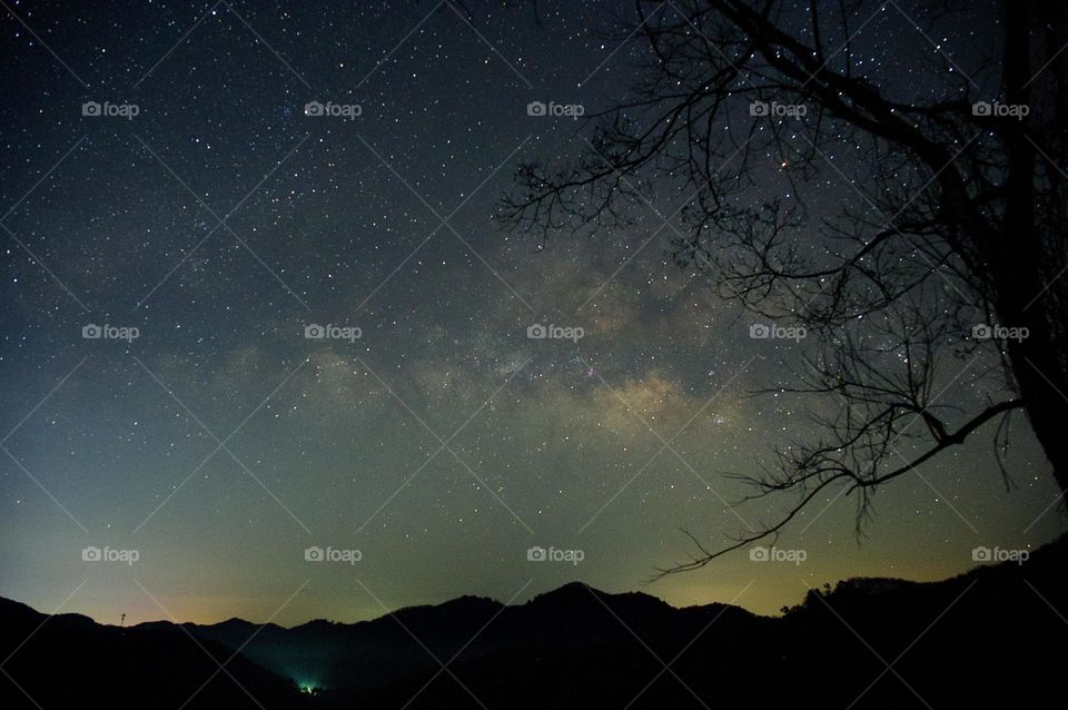 Milky Way Sky along with mountain and tree 
